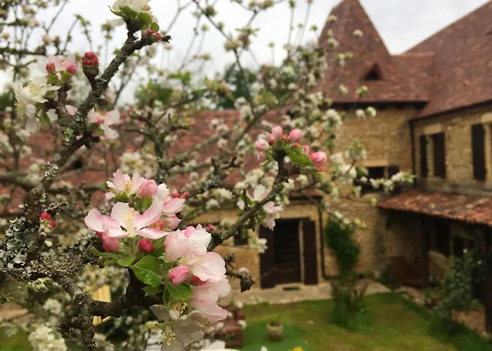 Nyaraló Maison Charmante En Campagne Pres De Marquay Avec Piscine Privee *